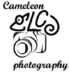 Cameleon Photography NAMUR